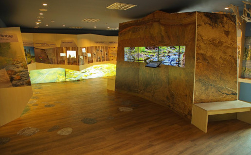 12_Lankytoju centro ekspozicija.jpg